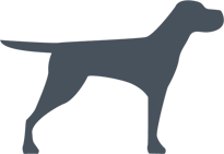brujiDog